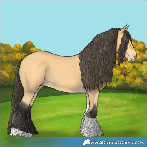 Horse Color:Buckskin Tobiano Rabicano 