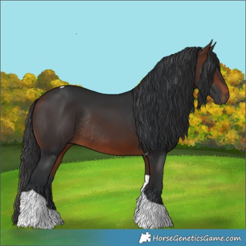 Horse Color:Brown Tobiano Rabicano 