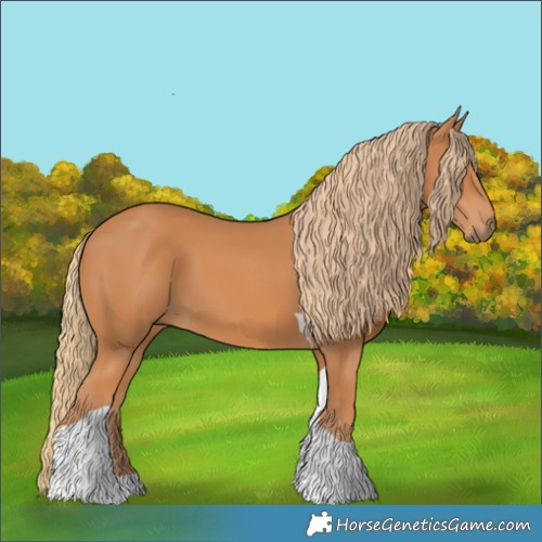 Horse Color:Chestnut Tobiano 