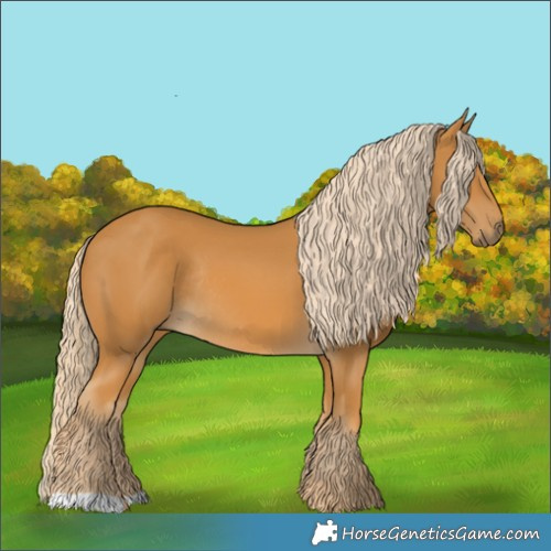 Horse Color:Palomino Rabicano 