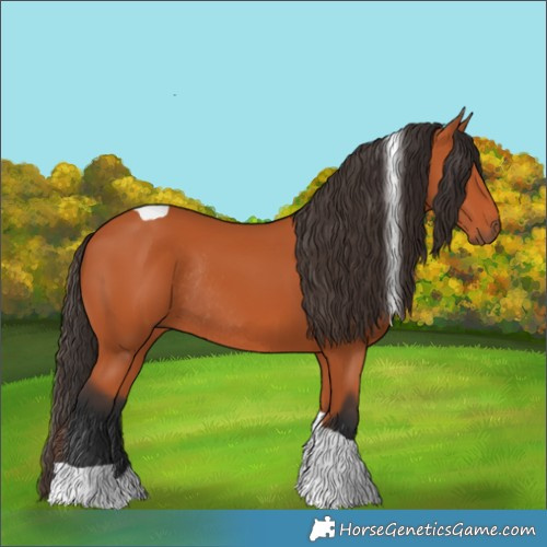 Horse Color:Bay Tobiano Rabicano 