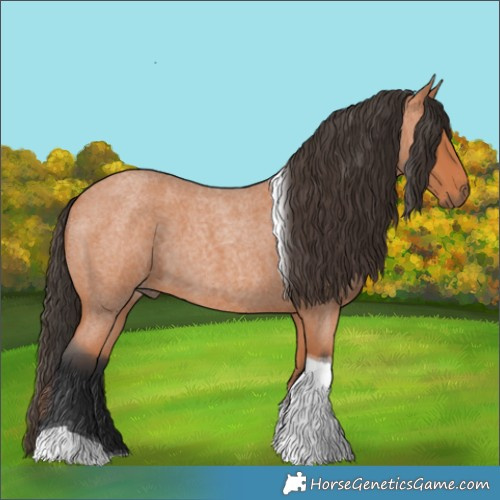 Horse Color:Bay Roan Tobiano Rabicano 