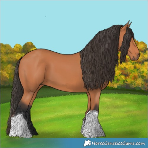 Horse Color:Bay Tobiano 