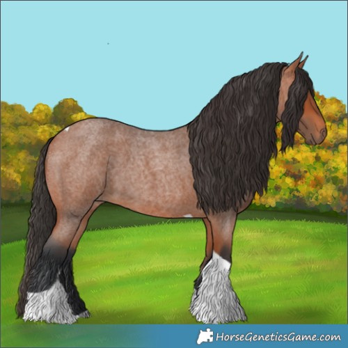 Horse Color:Bay Roan Tobiano 