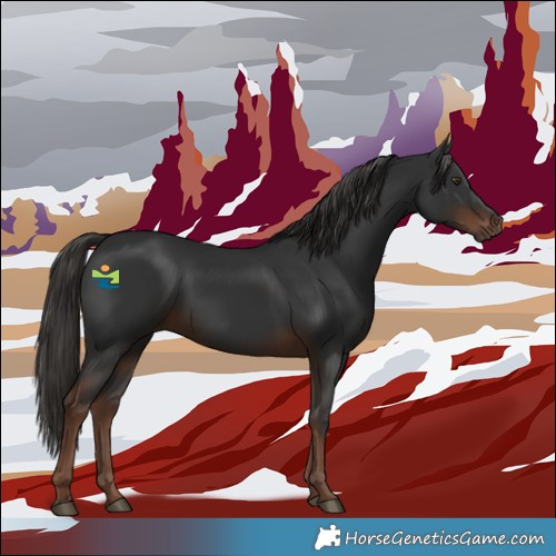 Horse Color:Liver Chestnut 