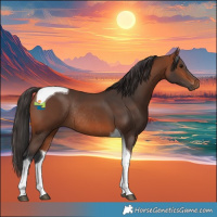 Horse Color:Bay Tobiano Rabicano 