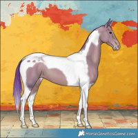 Horse Color:Watercolor Classic Champagne Tobiano