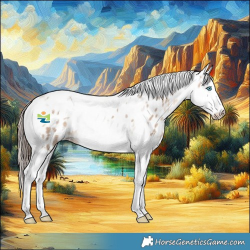 Horse Color:Amber Champagne Dun Splash Tobiano Appaloosa Rabicano 