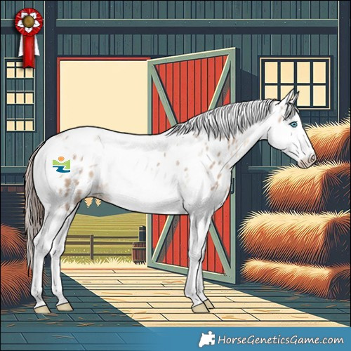 Horse Color:Amber Champagne Dun Splash Tobiano Appaloosa Rabicano 