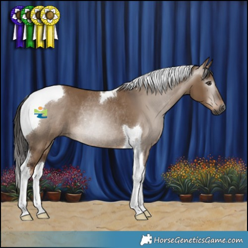 Horse Color:Gray Liver Red Dun Tobiano Rabicano 