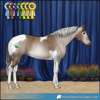 Horse Color:Gray Liver Red Dun Tobiano Rabicano 