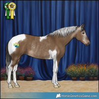 Horse Color:Gray Liver Red Dun Tobiano Rabicano 