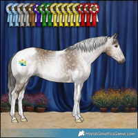 Horse Color:Gray Liver Red Dun Tobiano Rabicano