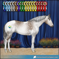 Horse Color:Gray Liver Red Dun Tobiano Rabicano 