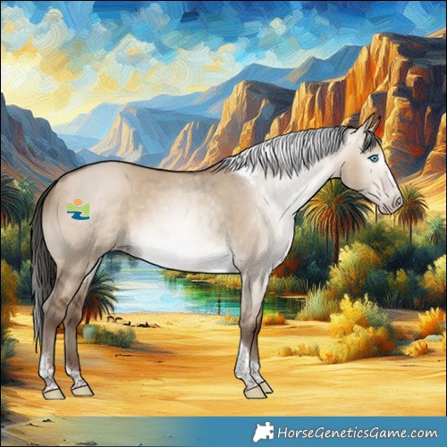 Horse Color:Gray Amber Champagne Dun Splash Tobiano Rabicano 
