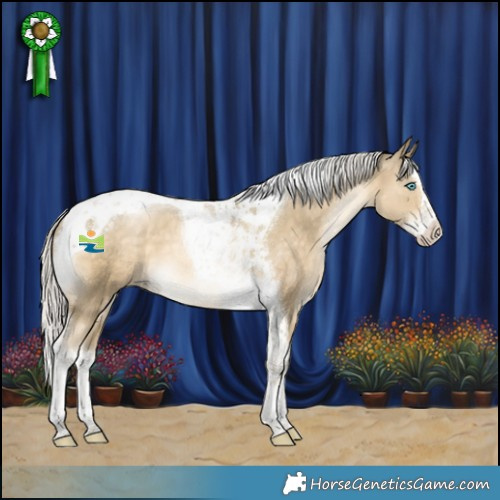 Horse Color:Silver Brown Snowdrop Pearl Splash Tobiano 
