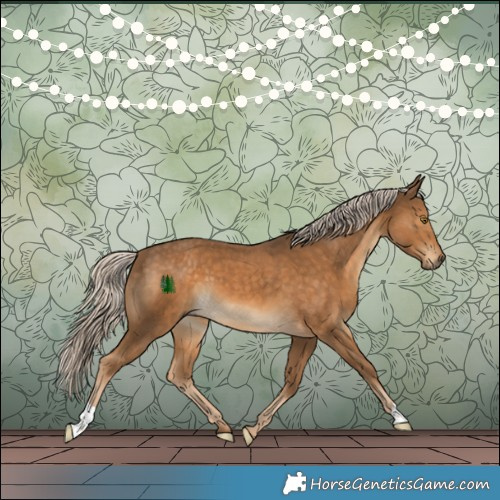 Horse Color:Chocolate Palomino 
