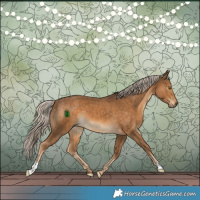 Horse Color:Chocolate Palomino 