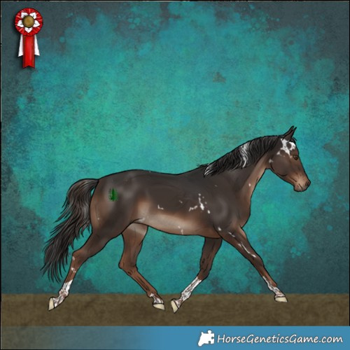 Horse Color:White Spotted Liver Chestnut Tobiano