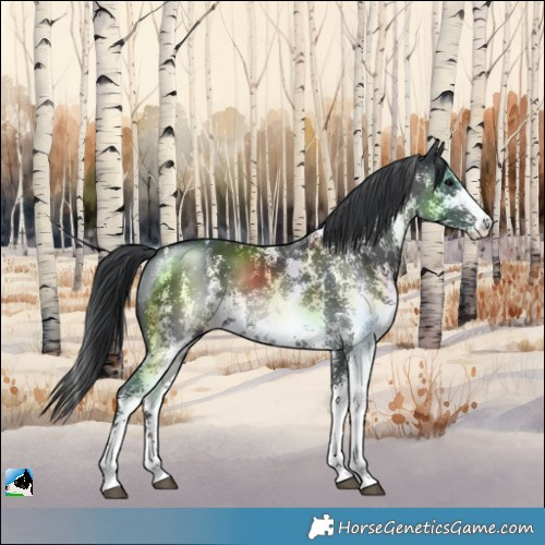 Horse Color:Black Mushroom Sabino 