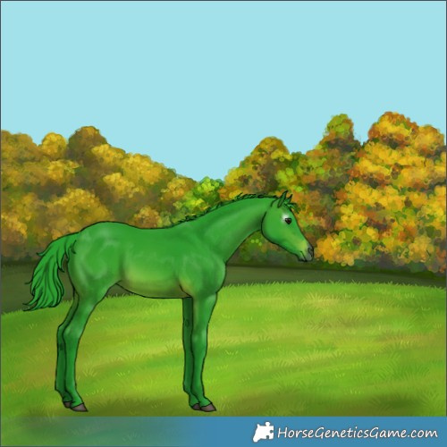 Horse Color:Gray Watercolor Brown 