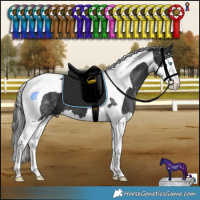 Horse Color:Black Splash Tobiano 