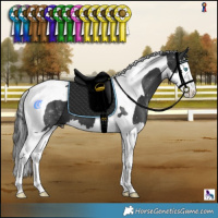 Horse Color:Black Splash Tobiano 