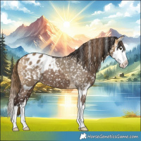 Horse Color:Liver Red Dun Snowcap  and Buckskin Dun Splash Blanket 