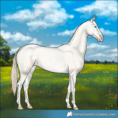 Horse Color:Buckskin Roan Pearl  and Buckskin Roan Pearl Splash 