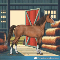 Horse Color:Bay Splash Varnish 