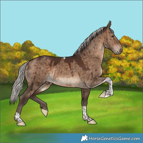 Horse Color:Silver Brown Dun Tobiano Brindle 