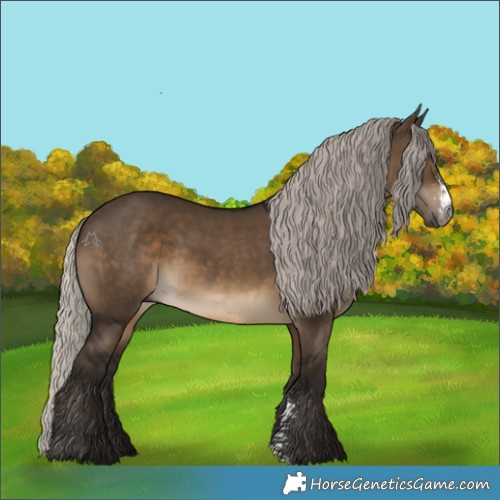 Horse Color:Gray Silver Brown Dun Sabino 