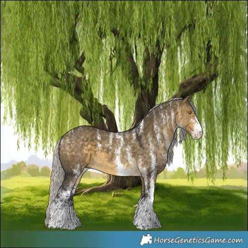 Horse Color:Powder White White Spotted Silver Buckskin Dun 