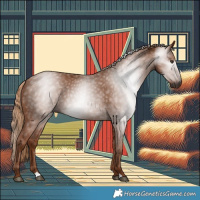 Horse Color:Gray Chestnut 