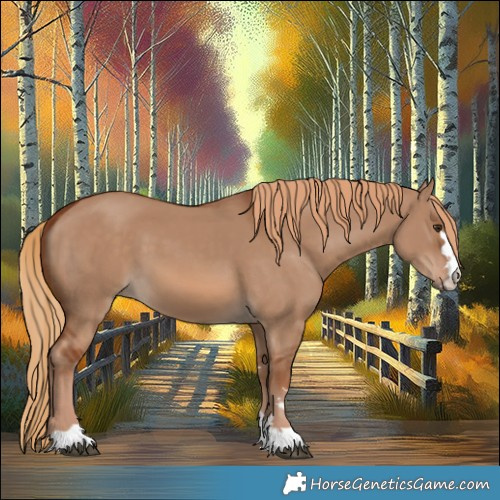 Horse Color:Red Dun 