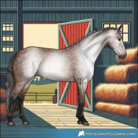 Horse Color:Gray Bay 