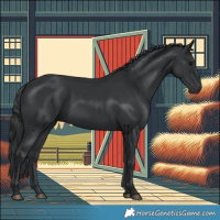 Horse Color:Black 