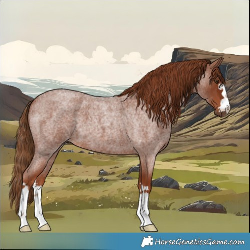 Horse Color:Red Roan 