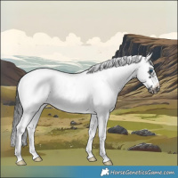 Horse Color:White Spotted Black Splash Tobiano Frame Blanket