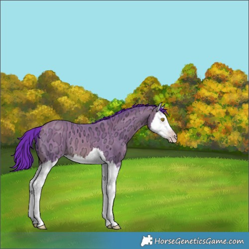 Horse Color:Gray Watercolor Sable Champagne Ice Splash