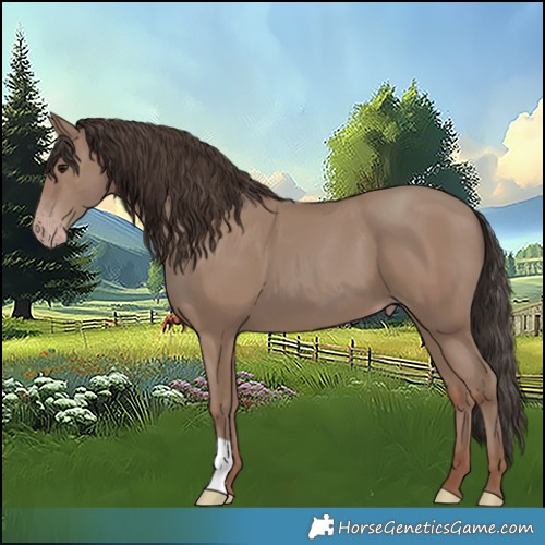 Horse Color:Classic Champagne 