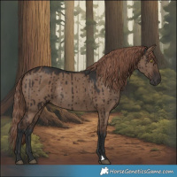 Horse Color:Liver Red Dun Rabicano Brindle 
