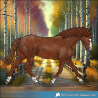 Horse Color:Chestnut 