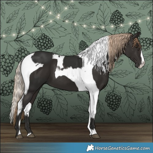 Horse Color:Liver Chestnut  and Liver Chestnut Tobiano 