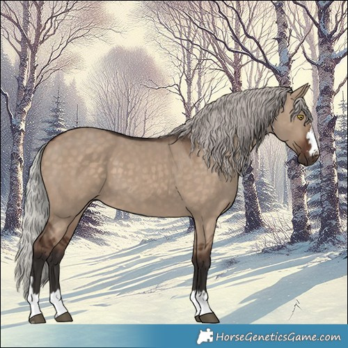 Horse Color:Silver Brown Dun 