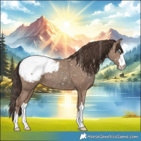 Horse Color:Classic Champagne Snowcap 