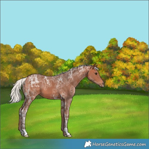 Horse Color:Silver Bay Ice 