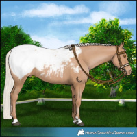Horse Color:Silver Black Pearl Snowcap