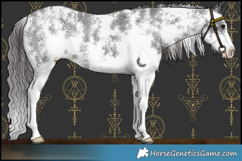 Horse Color:Smoky Black Sabino Varnish 