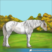 Horse Color:Silver Smoky Blue Roan Tobiano Blanket Rabicano